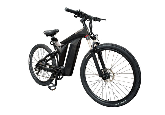 Rundeer Starry Sky 3K Carbon Fiber Electric Bike